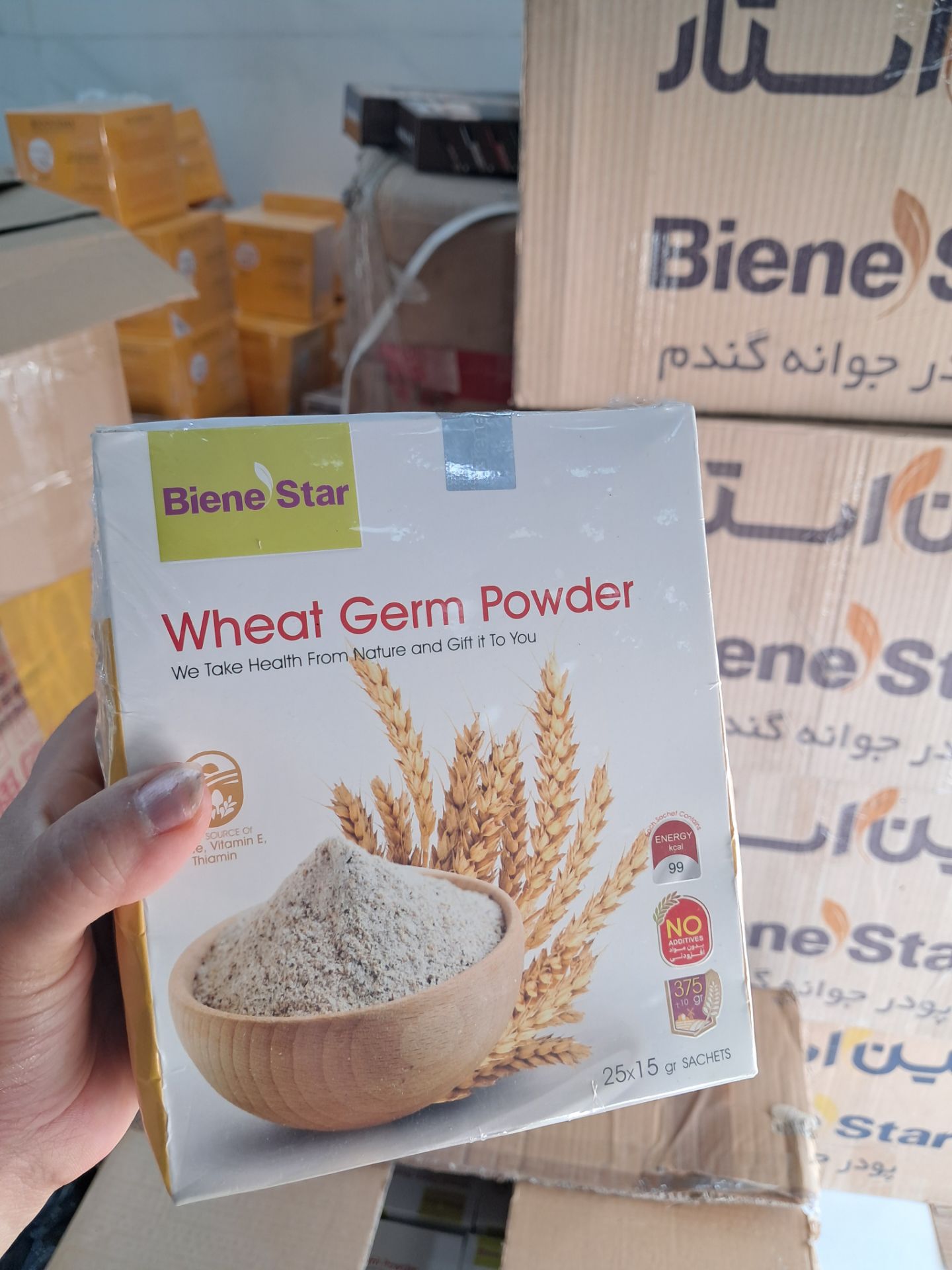 پودر چاقی جوانه گندم